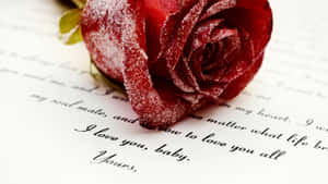 Romantic Love Letter With Rose Wallpaper