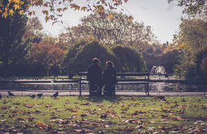 Romantic Love Park Wallpaper