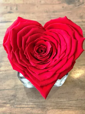 Romantic Rose Heart Wallpaper Wallpaper