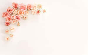 Rose Adornments Laptop Wallpaper