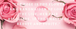 Rose Beauty Quote Pink Backdrop Wallpaper