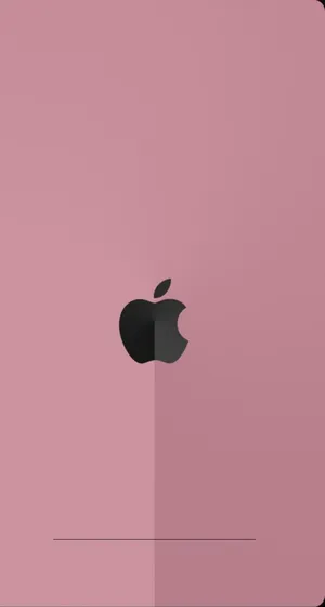 Rose Gold Apple With Black Stripe Wallpaper