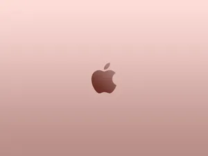 Rose Gold Apple With Dark Maroon Logo Wallpaper