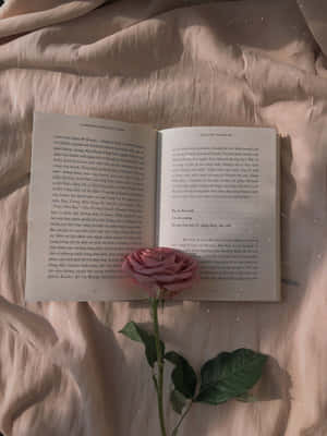 Rose Gold Bookand Flower Aesthetic Wallpaper