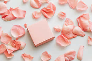 Rose Gold Box Petal Scatter Wallpaper