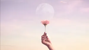 Rose Gold Flower Laptop Wallpaper