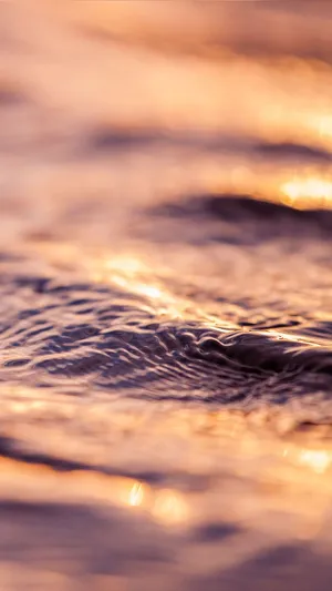 Rose Gold Iphone 5 Water Sunset Wallpaper