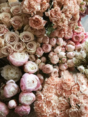 Rose Gold Pastel Floral Arrangement Wallpaper