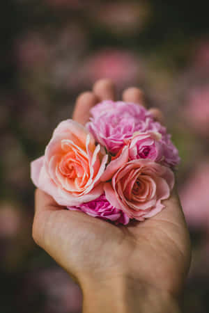 Rose Gold Pastel Flowersin Hand Wallpaper