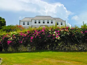 Rose Hall Great House Grass And Flowers Wallpaper