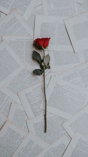 Rose On Papers Flower Phone Background Wallpaper