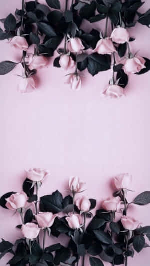 Rose Pattern Wallpaper Wallpaper