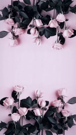 Rose Pattern Wallpaper Wallpaper