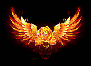 Rose With Fire Wings Wallpaper