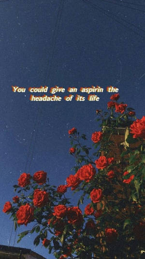 Roses Dark Blue Sky Quote Wallpaper