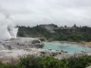 Rotorua Geothermal Landscape Wallpaper