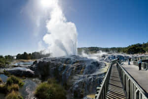 Rotorua Geothermal Park Geyser Eruption Wallpaper