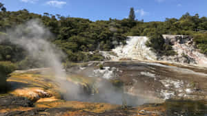 Rotorua Geothermal Park Steam Vents Wallpaper