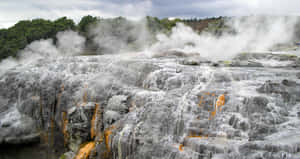 Rotorua Geothermal Terraces Wallpaper