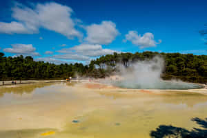 Rotorua Geothermal Wonderland Wallpaper