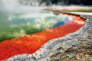 Rotorua Geothermal Wonderland Wallpaper
