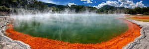 Rotorua Geothermal Wonderland Wallpaper