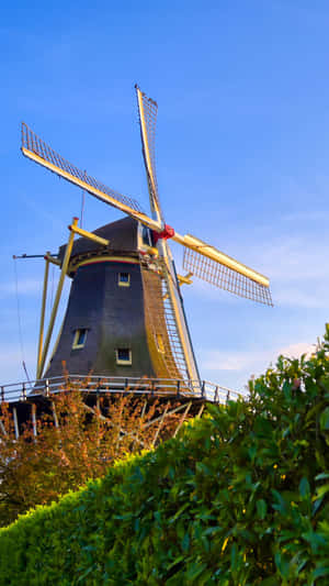 Rotterdam Windmill Against Blue Sky Wallpaper