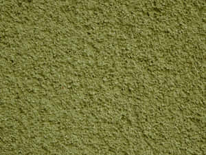 Rough Texture Olive Green Wallpaper