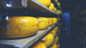 Round Cheese Storage Room Wallpaper