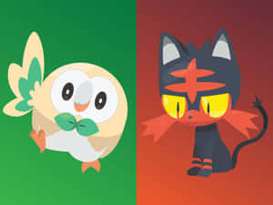 Rowlet And Litten Wallpaper