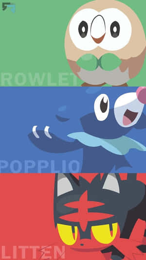 Rowlet, Popplio, And Litten Wallpaper