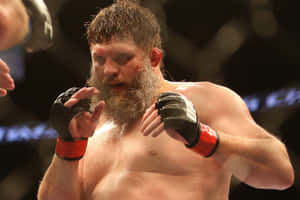 Roy Nelson Against Fabricio Werdum Wallpaper