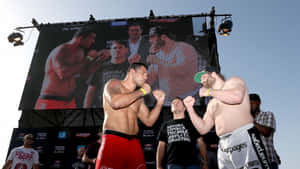 Roy Nelson And Antonio Rodrigo Nogueira Face Off Wallpaper