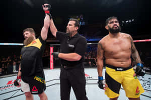 Roy Nelson Wins Against Antonio Silva Wallpaper