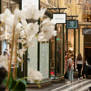 Royal Arcade Melbourne Shopping Experience Wallpaper