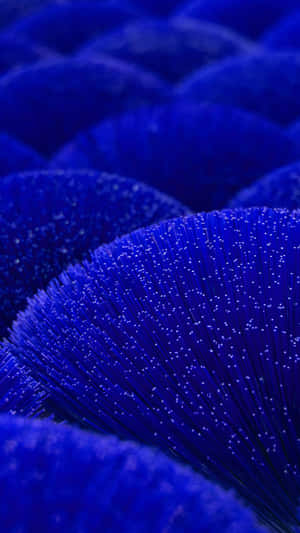 Royal Blue Abstract Texture Wallpaper