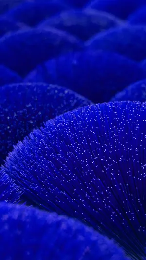 Royal Blue Abstract Texture Wallpaper