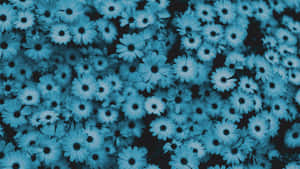 Royal Blue Floral Aesthetic Wallpaper