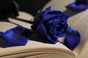 Royal Blue Roseon Book Wallpaper