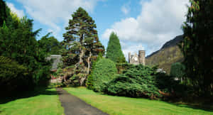 Royal Botanic Garden Edinburgh Pathway Wallpaper