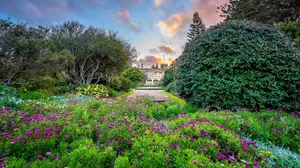 Royal Botanic Garden Sydney Floral Pathway Wallpaper