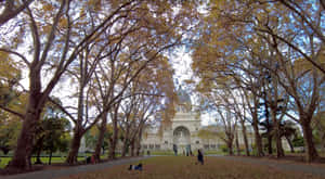 Royal Exhibition Building Autumn View Wallpaper