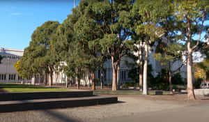 Royal Exhibition Building Exterior View Wallpaper