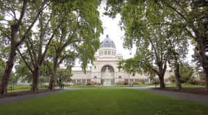 Royal Exhibition Building Summer View Wallpaper