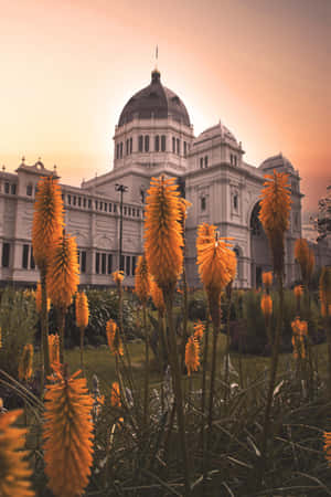 Royal Exhibition Buildingat Dusk Wallpaper