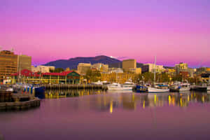 Royal Tasmanian Botanical Gardens In Hobart, Tasmania, Australia Wallpaper