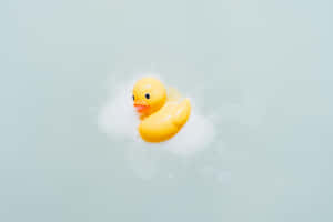 Rubber Duck Floatingin Water.jpg Wallpaper