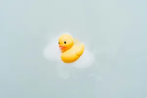 Rubber Duck Floatingin Water.jpg Wallpaper