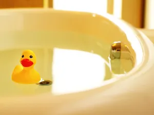 Rubber Duckin Bathtub Wallpaper