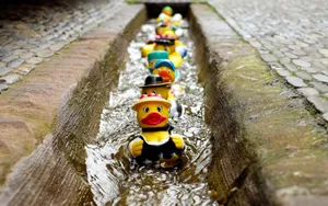Rubber Ducksin Row Urban Stream Wallpaper